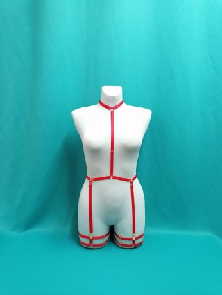Harness Dalia