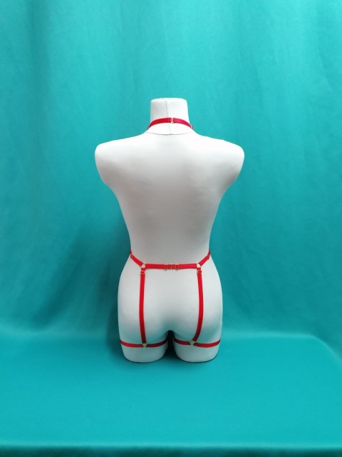 Harness Dalia