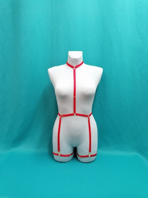 Harness Dalia